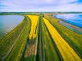 Aerial view of rural road passing through vivid yellow canola fields between two lakes. Royalty Free Stock Photo