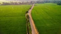 Aerial view of a rural road winding through a lush green paddy field in Upper Kuttanad, India Royalty Free Stock Photo