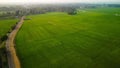 Aerial view of a rural road winding through a lush green paddy field in Upper Kuttanad, India Royalty Free Stock Photo