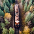 Aerial View of Rusty Train in Untamed Forest. Generative ai