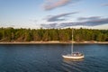 Aerial view of sailing white yacht in sea next to pine forest Royalty Free Stock Photo