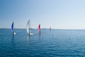 Aerial view of sailing yachts competition