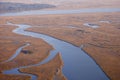 Aerial view of salt marsh Royalty Free Stock Photo