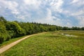 Aerial view of a sandy path along the edge of the forest. Picture taken by a drone from above a picturesque landscape Royalty Free Stock Photo