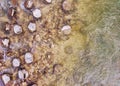 Aerial view of Sava river shallows and round rocks lying on the river bed, photographed with drone from above