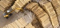 Aerial view of sawmill and chopped tree wood log stacks in a row with machinery