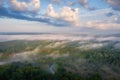 Aerial view of scenery by misty woodland