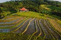 Aerial view of scenic rice terraces with morning or evening sunlight. Countryside with fields