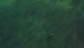 Aerial view of scuba diver spearfishing in shallow sea water