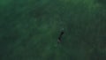 Aerial view scuba diver spearfishing in ocean water