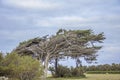 Aerial view, atlantic, clouds, oleron, atlantic ocean marsh, storm, duck, lighthouse Royalty Free Stock Photo