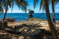 Aerial view of sea waves breaking beach with growing  palms Royalty Free Stock Photo