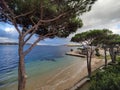 Aerial view of sea waves breaking sandy beach with trees Royalty Free Stock Photo