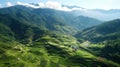 aerial view see the field at sunset rice terraces and mountain beautiful landscape.AI generated