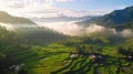 aerial view see the field at sunset rice terraces and mountain beautiful landscape.AI generated