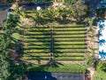 Aerial view of seedling beds of various plants used for reforestation in farms and condominiums and urban afforestation Royalty Free Stock Photo