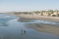 Aerial view of senior man walking a dog on the wet beach in Oceanside, California Royalty Free Stock Photo