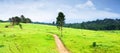 Aerial view of serene dirt pathway in the green fields on rainy morning