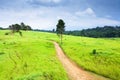 Aerial view of serene dirt pathway in the green fields on rainy morning