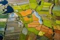 Aerial view serene farm land. Generate Ai