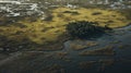 Aerial View Of Serene Marshland In Vray Tracing Style