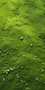 Tranquil Aerial View Of Vibrant Wildflowers And Swaying Grasslands