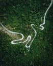 Aerial View of Serpent Road in Forest Royalty Free Stock Photo