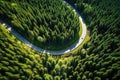 Aerial view of the serpentine road in the green forest, Summer Pine Forest and Winding Curvy Road, Top Down Birds Eye View, AI