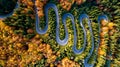 Aerial view of serpentines, curvy road in beautiful autumn forest at sunset. Top view of roadway with autumn colors. Europe roads Royalty Free Stock Photo