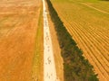 Aerial view of sheep on outback road Royalty Free Stock Photo