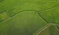 Aerial view shot with drone of Asian Ubud rural landscape of green organic rice fields in the island of Bali in Indonesia in farmi Royalty Free Stock Photo