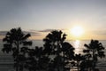 Aerial view show groups of silhouette palm trees on the island with freshness summer sunrise on morning sky and beautiful panorama