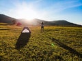 Aerial view of silhouette young woman with raised hands standing on meadow and admire beautiful mountains sunset Royalty Free Stock Photo