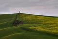 Aerial view of single tree on the top of beautiful yellow and green hill under dark cloudy sky Royalty Free Stock Photo