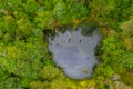 Aerial view of a sinkhole at Tarkine forest in Tasmania, Australia