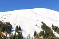 ski slope,hill covered in snow in winter forest in mountains,nature,alpine ski resort Royalty Free Stock Photo