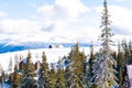 Aerial view ski slope,spruce pine trees,modern wooden village rural house,hotels covered in snow in winter forest mountains,nature Royalty Free Stock Photo