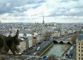 Aerial view of skyline of Paris from Notre Dame Cathedral