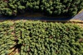 Aerial view on a small narrow road in a green forest. Country side. Drive through a woodland area Royalty Free Stock Photo