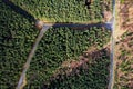 Aerial view on a small narrow road in a green forest. Country side. Drive through a woodland area Royalty Free Stock Photo