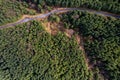 Aerial view on a small narrow road in a green forest. Country side. Drive through a woodland area Royalty Free Stock Photo