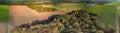 Aerial view of a small piece of forest between fields and meadows behind a village in northern Germany