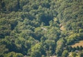 Aerial view of small plane flying over dense lush tropical forest Royalty Free Stock Photo