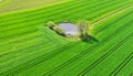 Aerial view on small pond lake like with trees and bushes on big field. Green oasis