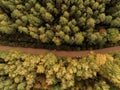 Aerial view, small road in a forest, car parked on a side. Royalty Free Stock Photo