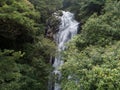 Small Waterfall in the Tropical Rainforest Mountains