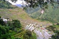 Aerial view of small, wooden houses in Batad village in Luzon, Philippines
