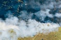 Aerial view smoke clouds of wild fire. Fire in forest spreads, natural disaster. Dry grass and trees burning. Climate Royalty Free Stock Photo