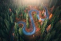 Aerial view of snake road in colorful autumn forest at sunrise