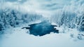 Aerial view of snow covered forest around beautiful lake. Rime ice and hoar frost covering trees. Scenic winter landscape Royalty Free Stock Photo